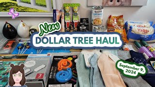 DOLLAR TREE HAUL! New Finds!! Everything was $1.25! September 9, 2024