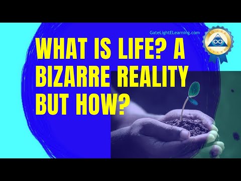 What is life? A Bizarre Reality, But How?