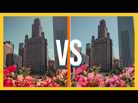 iPhone vs Fuji X-T3 | Is there a difference?