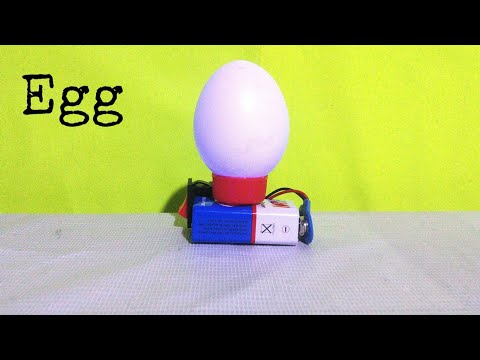 अंडे से बनाइये एक शानदार Craft | Easy Egg Craft