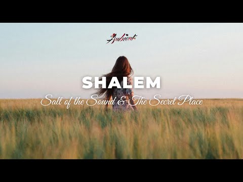 Salt of the Sound & The Secret Place - Shalem [ambient vocal meditation]