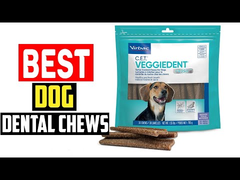 ✅Top 5 Best Dog Dental Chews for Excellent Oral Hygiene in 2024