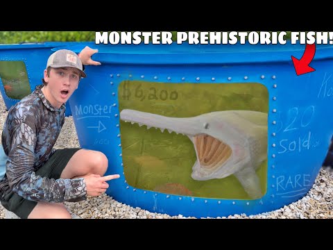 I Bought the RAREST Prehistoric Aquarium Fish!