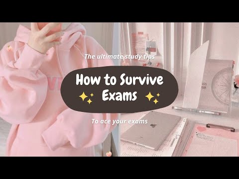 How To Survive Exams (Study Tips & Advice)