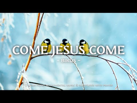 Come Jesus Come : Instrumental Worship and Scriptures with Birds 🕊 Christian Instrumental