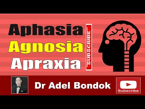 Aphasia, Agnosia and Apraxia, Dr Adel Bondok Making Anatomy Easy