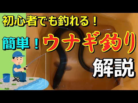 実は簡単！高い釣り具も技術もいりません！初心者向けウナギ釣り解説　#ウナギ　#釣り　#初心者　【34釣目】