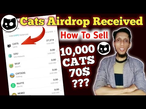 Cats Airdrop Update: Price Prediction & How to Claim Your Tokens