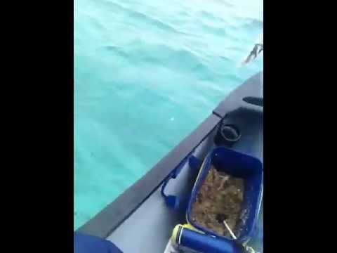 Canoe Fishing Trigger Fish