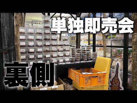 【イベント後日談】わたくわ即売会の裏側と感想 【Beetleon東京店イベント】