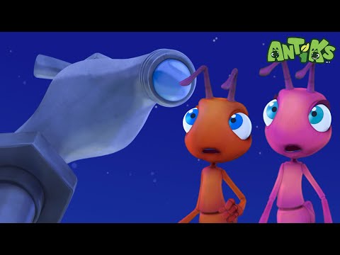 Joey and Boo's Sleepytime Surprise! | Antiks | Best Cartoons For All The Family  🎉🥳