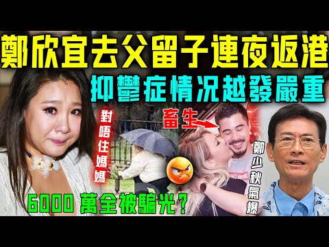 6000萬全被騙光？鄭欣宜連夜返港，抑鬱症情況越發嚴重，只能選擇「去父留子」！鄭少秋氣爆，怒罵女兒丈夫係畜生！【星娛樂】