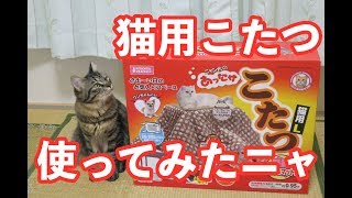 【マルカン猫用こたつL】多頭飼いでもOK？温度は？徹底レビューしました！