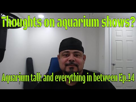 Thoughts on aquarium shows?