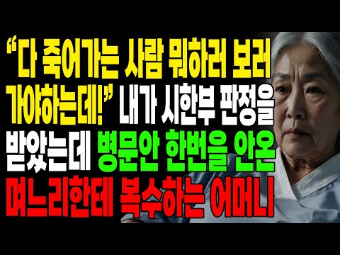 내가 시한부 판정을 받았는데 병문안 한번을 안온 며느리한테 복.수하는 어머니 | 오디오북 | 사연라디오 | 신청사연 | 사이다썰 | 실화사연 |