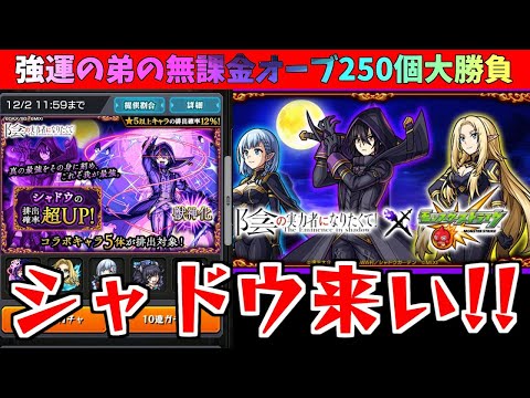 【モンスト】「陰実コラボ ガチャ」《シャドウピックアップ》頼むぞまじで…!!シャドウが欲しい!!強運無課金の弟が貯めた無課金オーブ250個!!!これに全てをかける!!!【陰の実力者になりたくて！】