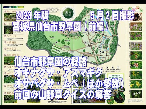 2023年版宮城県仙台市野草園前編(野草園の概略・ｵｷﾅｸﾞｻ・ｱｽﾞﾏｷﾞｸ・ｵｻﾊﾞｸﾞｻ・ﾑﾍﾞ・山野草クイズ解答)