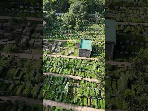 আজিমপুর কবরস্থান Ariel view #shortsfeed #nature #masjid #trendingshorts #dronegraphy