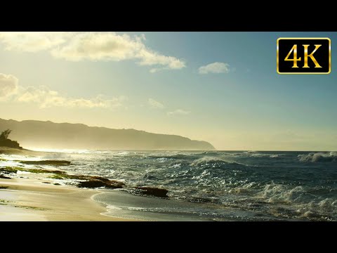 4K Relaxing Beach Ambience for Sleep and Stress Relief | Soothing Ocean Waves for Relaxation