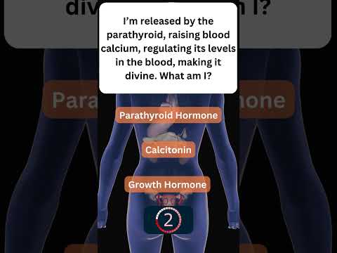 Learn About Your Hormones! 🧠 #EndocrineSystem 4