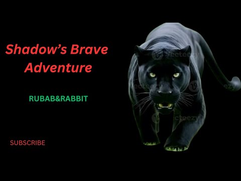 Shadow's Brave Adventure