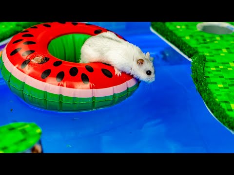 Pool Maze for Hamster!  MINECRAFT WORLD!