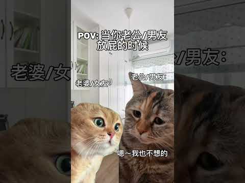 第三弹❗️POV:当你老公/男友放屁的时候🤣🤣#生气 #搞笑 #猫咪 #可爱 #angry #cat #cute #funny #同款男友 #同款老公 #放屁