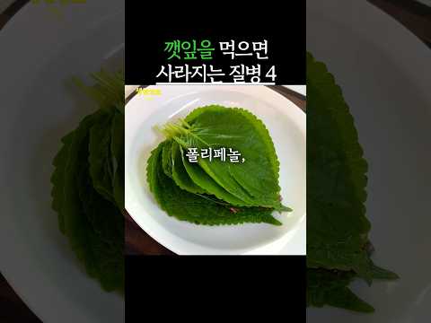 깻잎을 먹으면 사라지는 질병 4가지 #생생정보 #건강