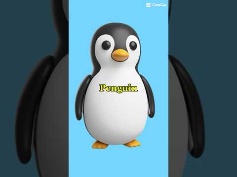 Penguin #kidsvideo