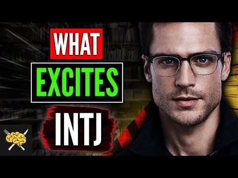 What Excites INTJ : 9 Things That Excite INTJ - REAL INTJs Know