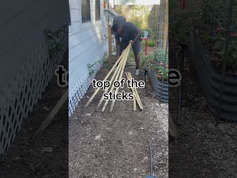 Easy DIY gardening trellis