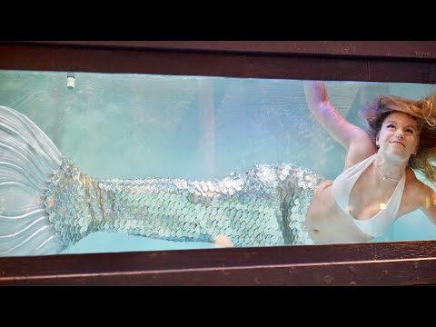 Mermaid Tank Performance