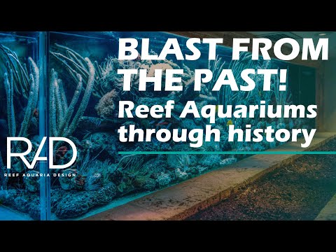 THROWBACK TO THE BEGINNING AND A JOURNEY THROUGHOUT THE LAST 5 DECADES CREATING REEF AQUARIUMS