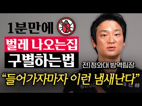 "차라리 변기에 버리세요" 바퀴벌레 퇴치하는 가장 확실한 방법 (양선우 팀장 1부)