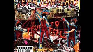 Y Control - Yeah Yeah Yeahs