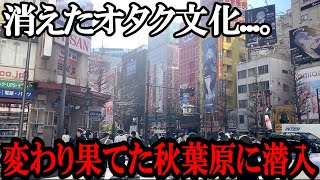 【潜入レポ】秋葉原からオタク文化が消えた衝撃の理由...！政治の闇や利権絡みを徹底調査【ゆっくり解説】東京