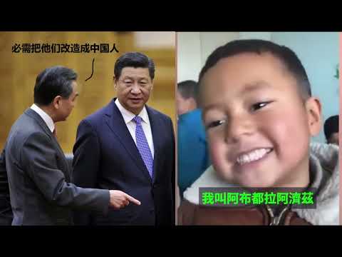 王毅明白民族是有差异的。 为何中共仍然强迫维吾尔族、西藏人、蒙古族等必需成为中国人？