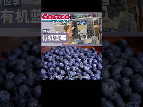 【Costco有机蓝莓Blueberry】蓝莓新鲜应季最后时间段