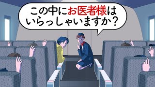 お医者様しか乗ってなかった飛行機【アニメ】【コント】