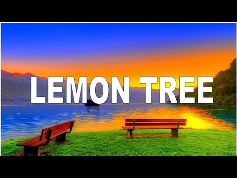 Lemon Tree | Naguilian Adventist Elementary School cover #lemontree #inspiration