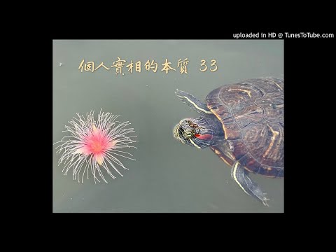 個人實相的本質 33-639節-P266