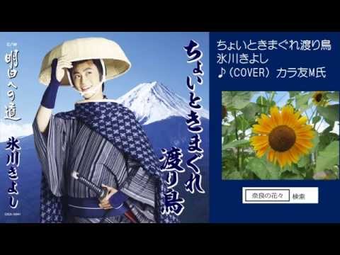 ちょいときまぐれ渡り鳥　氷川きよし♪COVER　uguis karaoke　カラ友M氏