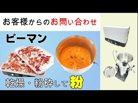 ピーマンの粉末を作りたい【お問い合わせ】