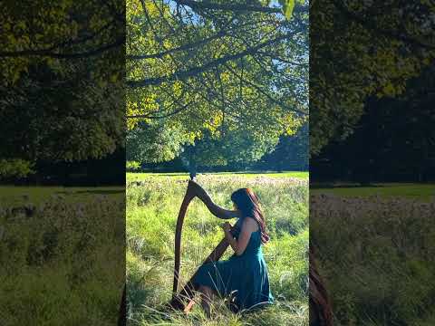 Braveheart - Celtic Harp (full video out soon!) #shorts #harp