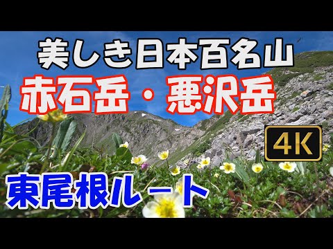 赤石岳・悪沢岳 美しき日本百名山✨。東尾根ルート。3泊4日(赤石小屋・荒川小屋・千枚小屋泊)。標高3,000mの大展望の稜線へ。ver.3　Mt.Akaisidake,Mt.Warusawadake