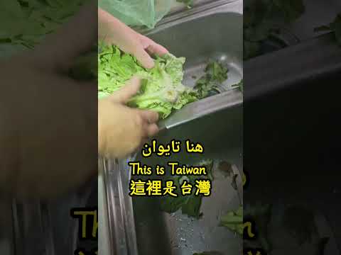 三元一顆的沙拉菜，台中市太平的周末假日 2024-5-19 this is Taiwan 🇹🇼