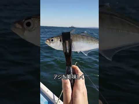 【釣って食べる】アジの三段活用 作り方同じ 何度も美味しい #Shorts