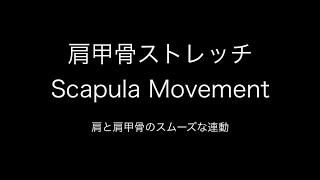 ジュニアスイマー向けエクササイズ　肩甲骨ストレッチ