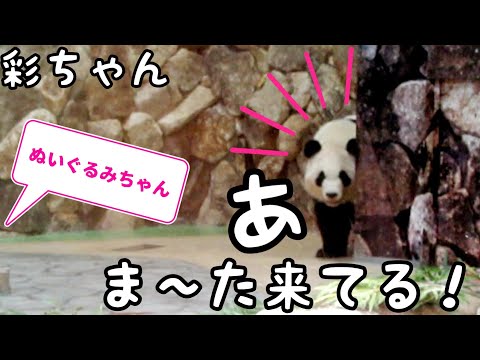 あれはなんじゃ⁉️ウィンドウショッピング