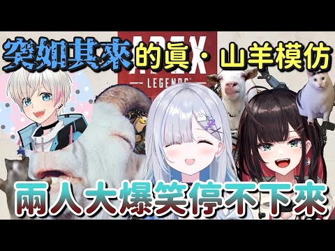 突如其來的真山羊模仿讓SumiYui大爆笑停不下來【花芽すみれ ＆ 緋月ゆい ＆ BobSappAim】【Vtuber中文字幕】